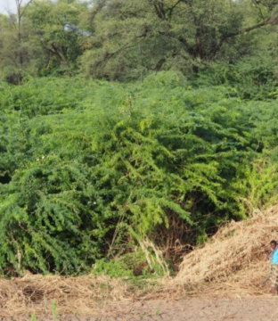 Website-feedbak-11112024-1-pdf-11-15-2024_05_45_AM