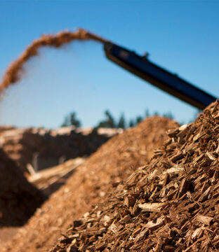 woody-biomass