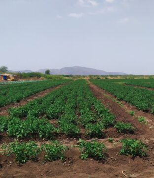 Processed with VSCO with wwf preset